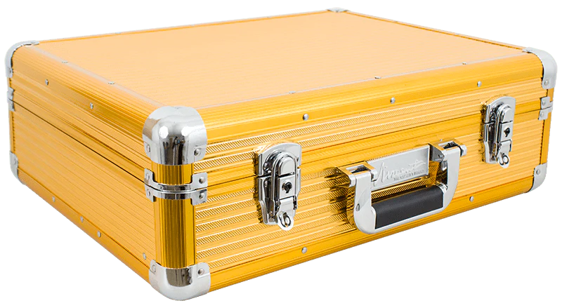 Vincent Large Gold Mastercase