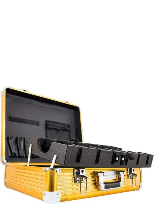 Vincent Large Gold Mastercase