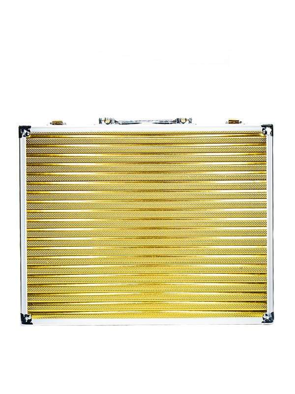 Vincent Master Case - Pequeño - Dorado